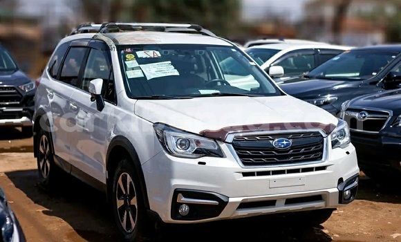 Buy Used Subaru Forester White Car in Kampala in Uganda Buy Used Subaru Forester White Car in Kampala in Uganda
