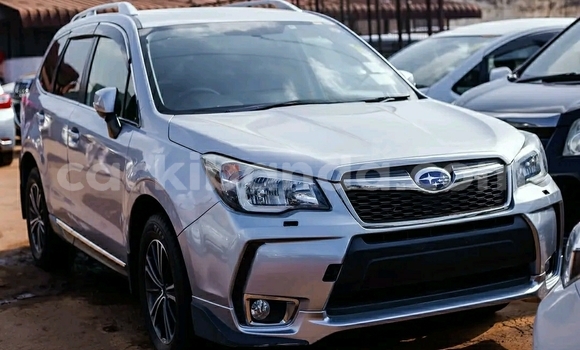 Buy Used Subaru Forester Silver Car in Kampala in Uganda Buy Used Subaru Forester Silver Car in Kampala in Uganda
