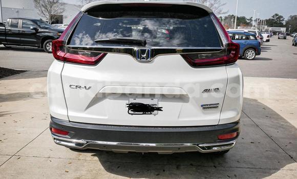 Buy Used Honda CR–V White Car in Kampala in Uganda Buy Used Honda CR–V White Car in Kampala in Uganda