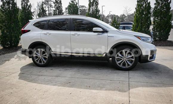 Buy Used Honda CR–V White Car in Kampala in Uganda Buy Used Honda CR–V White Car in Kampala in Uganda