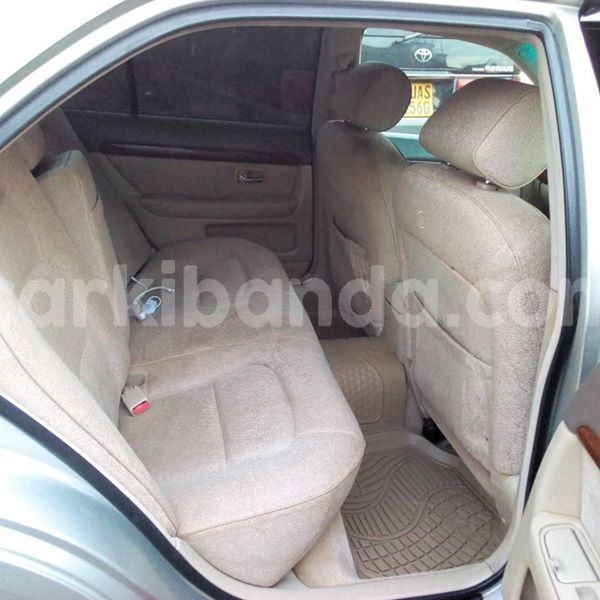 Big with watermark 51682693 235723987377024 1825160783525314560 n