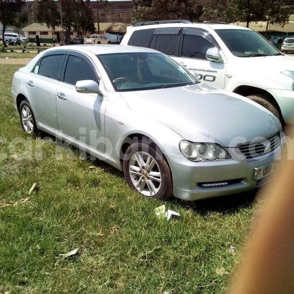 Big with watermark 51237942 235558224060267 6912051892071694336 n