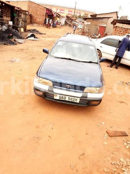 Big with watermark 51260343 235530090729747 137818559861489664 n