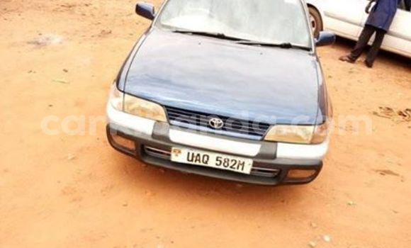 Buy Used Toyota Corolla Blue Car in Kampala in Uganda Buy Used Toyota Corolla Blue Car in Kampala in Uganda