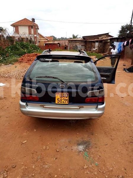 Big with watermark 51423747 235529454063144 3984254634364502016 n