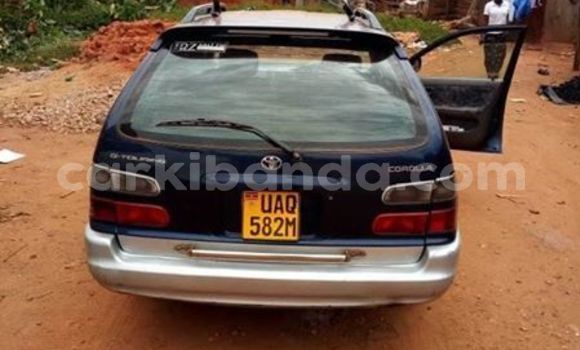 Buy Used Toyota Corolla Blue Car in Kampala in Uganda Buy Used Toyota Corolla Blue Car in Kampala in Uganda