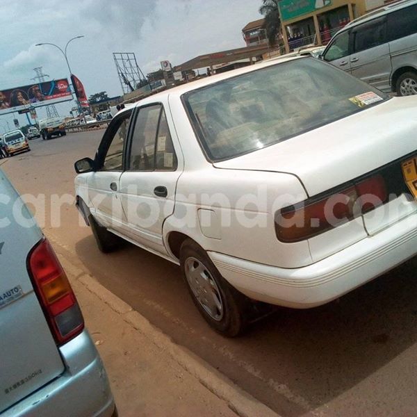 Big with watermark 51231793 235517980730958 1138503737480839168 n