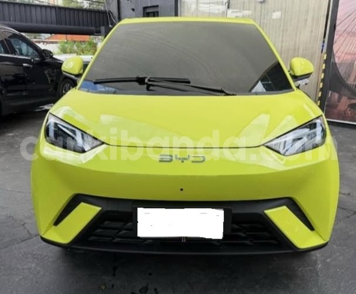 Big with watermark byd seagull uganda kampala 25273