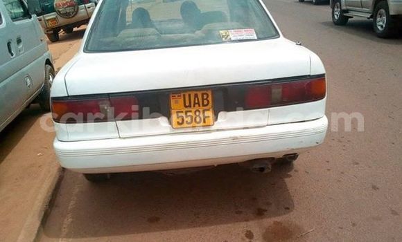 Buy Used Nissan Sunny White Car in Kampala in Uganda Buy Used Nissan Sunny White Car in Kampala in Uganda