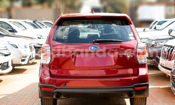 Gura Yakoze Subaru Forester Red Imodoka i Kampala mu Uganda Gura Yakoze Subaru Forester Red Imodoka i Kampala mu Uganda
