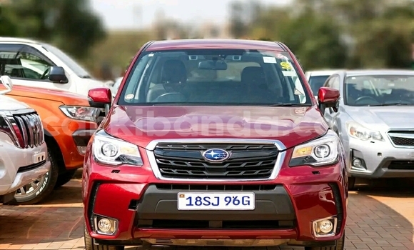 Gura Yakoze Subaru Forester Red Imodoka i Kampala mu Uganda Gura Yakoze Subaru Forester Red Imodoka i Kampala mu Uganda