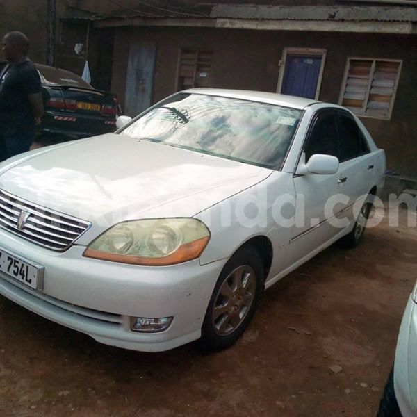 Big with watermark 51526238 234570004159089 782438080920420352 n