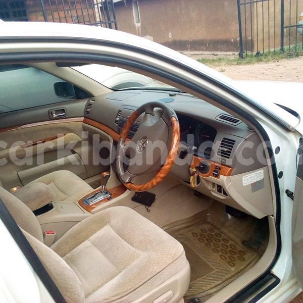 Big with watermark 51109543 234570197492403 4803251025936908288 n