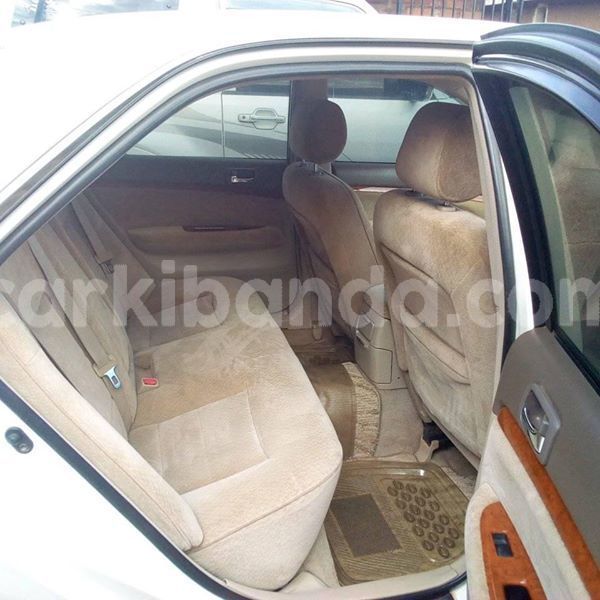 Big with watermark 51218526 234570344159055 391219018985373696 n