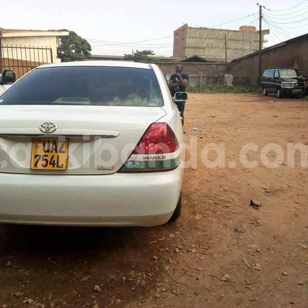 Big with watermark 51126514 234569844159105 7411292070150668288 n