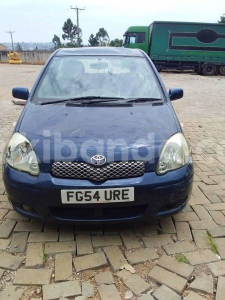 Big with watermark 51066320 234230424193047 8348924924546514944 n