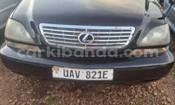 Buy Used Toyota Harrier Other Car in Kampala in Uganda