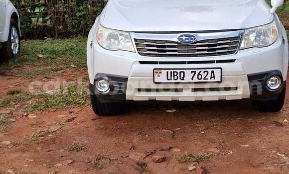 Buy Used Subaru 1000 Other Car in Kampala in Uganda Buy Used Subaru 1000 Other Car in Kampala in Uganda
