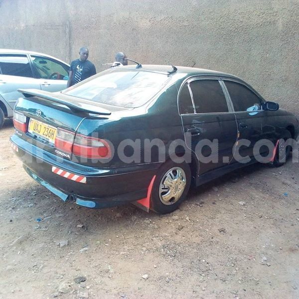 Big with watermark 51585745 234217704194319 2201936411609792512 n