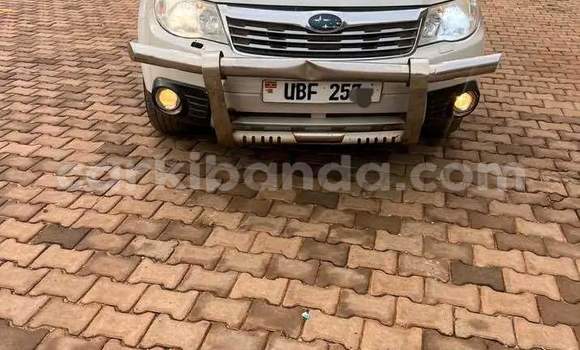 Gura Yakoze Subaru Forester Other Imodoka i Kampala mu Uganda Gura Yakoze Subaru Forester Other Imodoka i Kampala mu Uganda