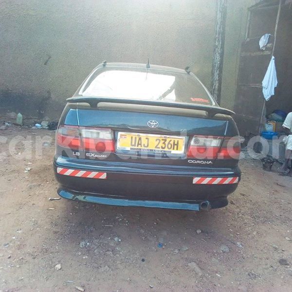 Big with watermark 51132393 234217450861011 6530018906189332480 n