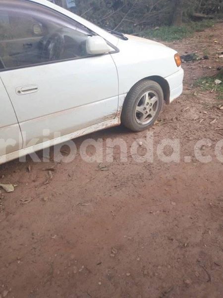 Big with watermark 50862011 233560327593390 4817331066899529728 n