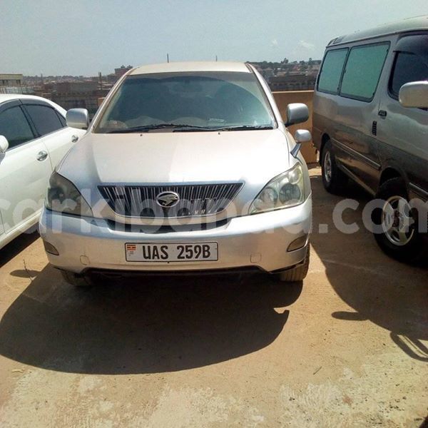 Big with watermark 51077060 233272227622200 518663836962652160 n