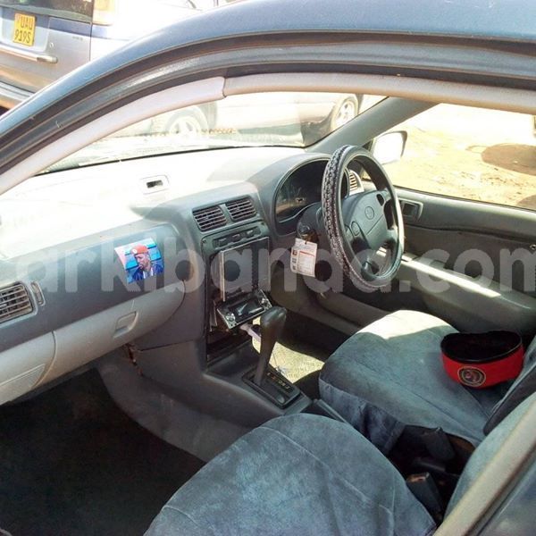 Big with watermark 51260286 232990564317033 9130808765707190272 n