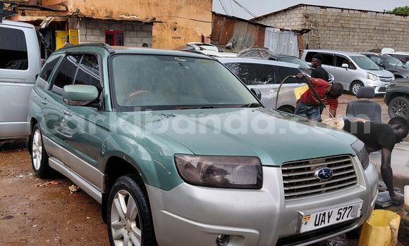 Buy Used Subaru Forester Other Car in Kampala in Uganda Buy Used Subaru Forester Other Car in Kampala in Uganda