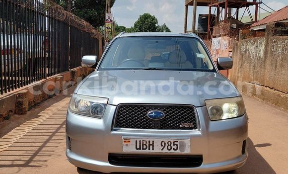Buy Used Subaru Forester Other Car in Kampala in Uganda