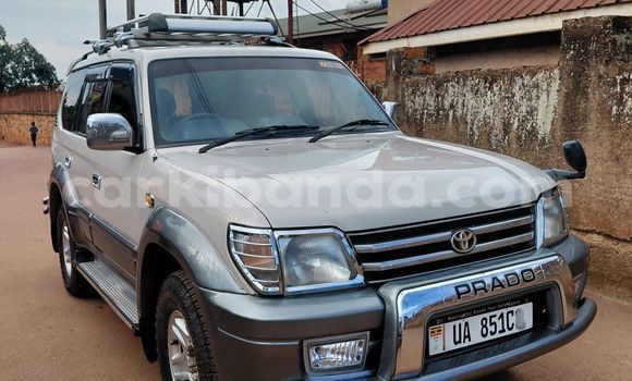 Buy Used Toyota Prado Other Car in Kampala in Uganda