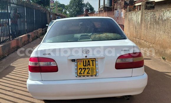 Buy Used Toyota Corolla White Car in Kampala in Uganda Buy Used Toyota Corolla White Car in Kampala in Uganda