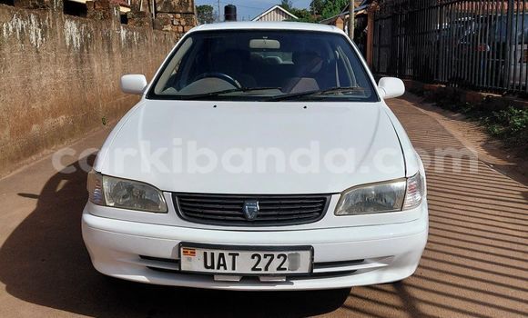Buy Used Toyota Corolla White Car in Kampala in Uganda Buy Used Toyota Corolla White Car in Kampala in Uganda