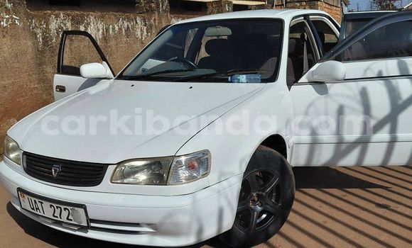 Buy Used Toyota Corolla White Car in Kampala in Uganda Buy Used Toyota Corolla White Car in Kampala in Uganda