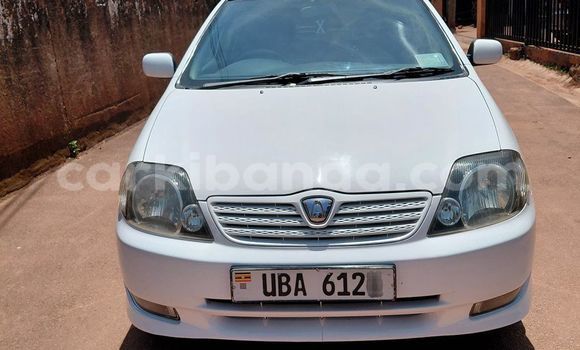 Buy Used Toyota Allex White Car in Kampala in Uganda