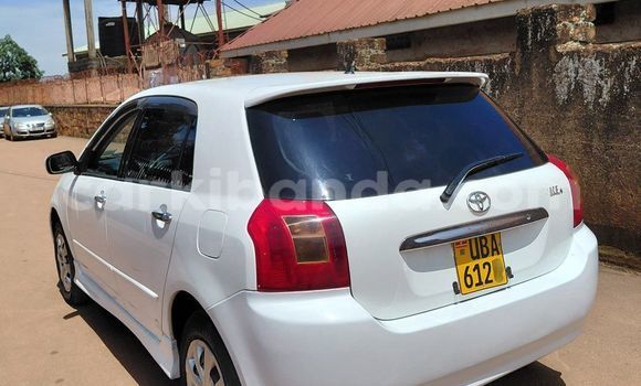 Buy Used Toyota Allex White Car in Kampala in Uganda Buy Used Toyota Allex White Car in Kampala in Uganda
