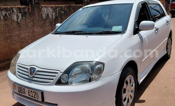 Buy Used Toyota Allex White Car in Kampala in Uganda Buy Used Toyota Allex White Car in Kampala in Uganda