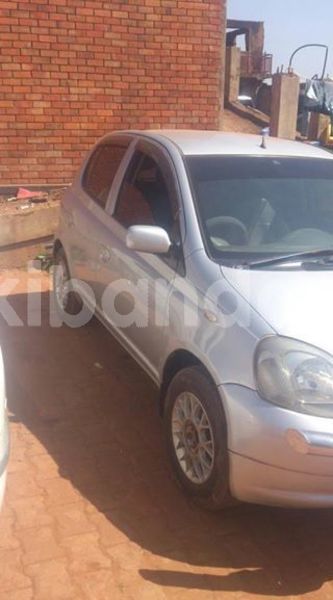 Big with watermark 51139328 1661347347343980 8228896179354599424 n