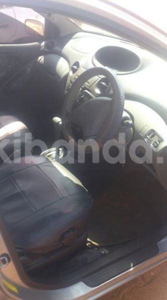 Big with watermark 51513859 1661347317343983 351281565503848448 n