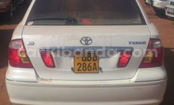 Nunua Ilio tumika Toyota Premio Nyeupe Gari ndani ya Kampala nchini Uganda Nunua Ilio tumika Toyota Premio Nyeupe Gari ndani ya Kampala nchini Uganda