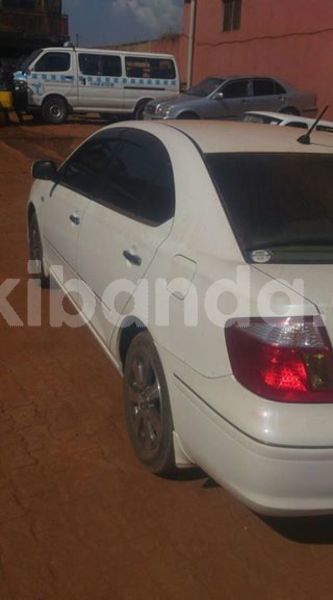 Big with watermark 51228057 1660709627407752 5011635928536449024 n