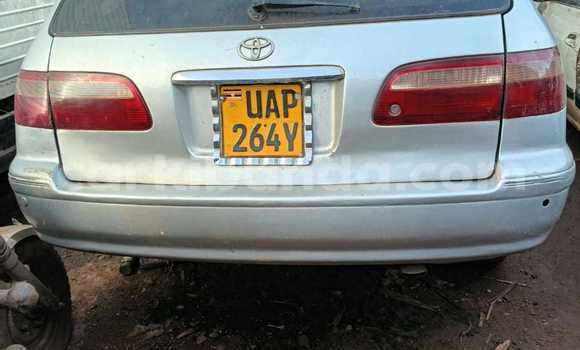 Buy Used Toyota Mark II Silver Car in Kampala in Uganda Buy Used Toyota Mark II Silver Car in Kampala in Uganda
