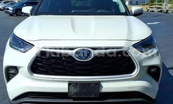 Buy Used Toyota Highlander White Car in Kampala in Uganda