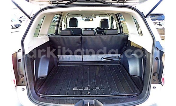 Buy Used Subaru Forester Silver Car in Kampala in Uganda Buy Used Subaru Forester Silver Car in Kampala in Uganda