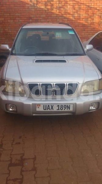 Big with watermark 50793933 1658228017655913 7662768517069930496 n