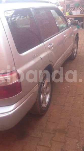 Big with watermark 50989108 1658228104322571 5792919797125611520 n