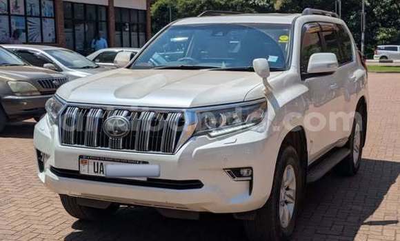 Buy Used Toyota Land Cruiser Prado Other Car in Kampala in Uganda