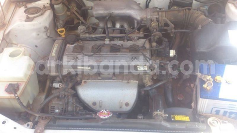 Big with watermark 50623494 1657307894414592 16946484956102656 o