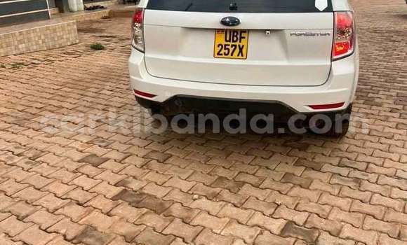 Buy Used Subaru Forester White Car in Kampala in Uganda