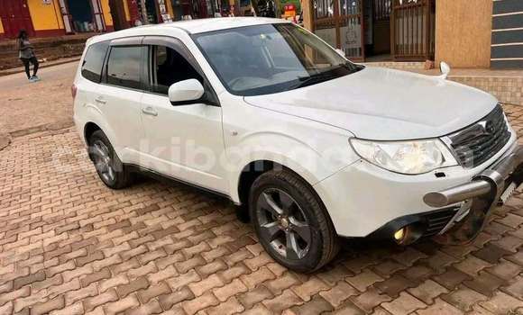 Buy Used Subaru Forester White Car in Kampala in Uganda Buy Used Subaru Forester White Car in Kampala in Uganda